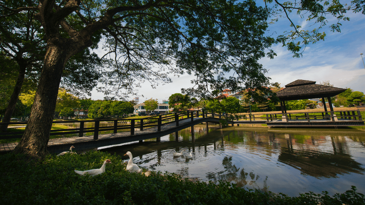 Bandar Botanic township gallery 3